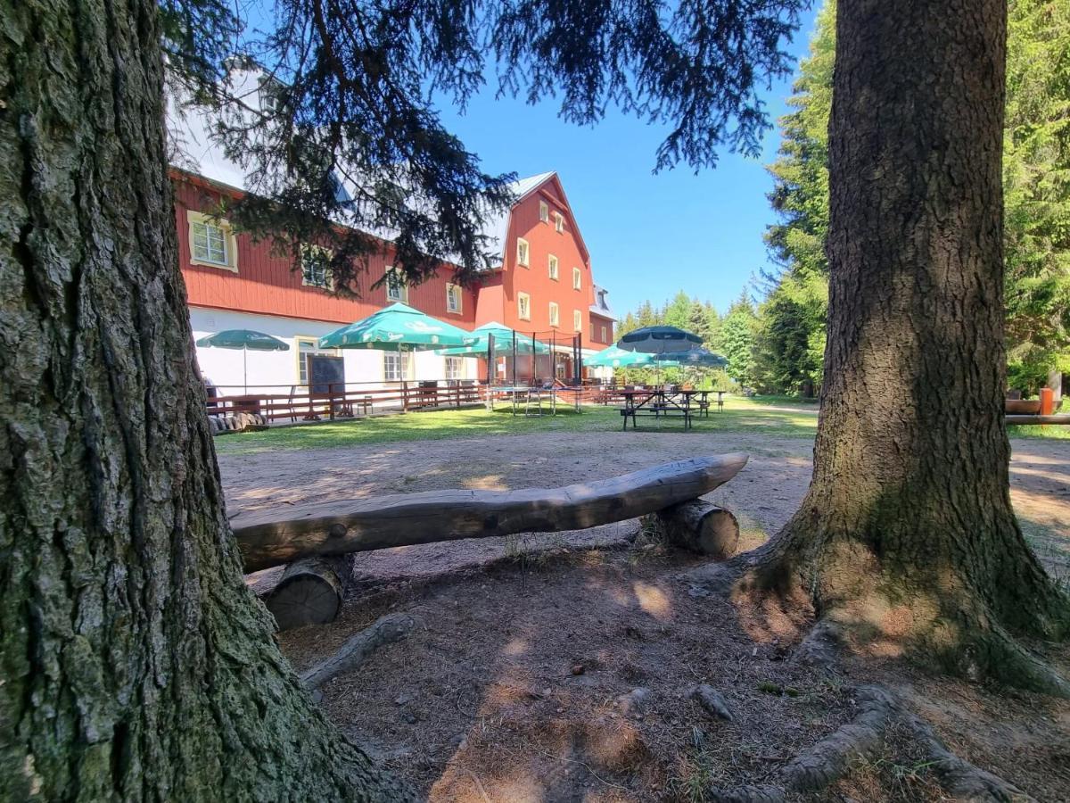 Lesni Hotel Kořenov
